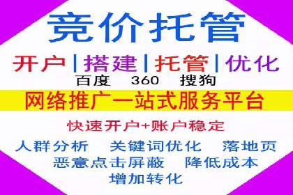 某电商平台的SEM关键词策略及成效分析